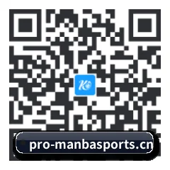 系统版 iOS 二维码